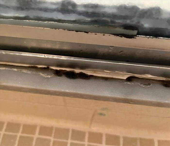 Mold that is in a shower is shown
