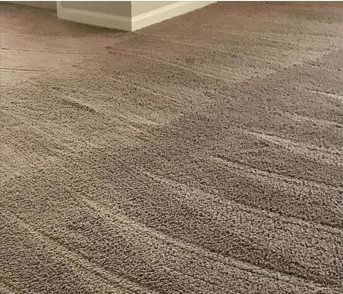 A recently cleaned carpet is shown 